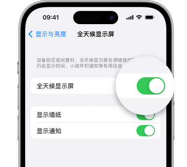 枣庄苹果15预约维修分享iPhone15如何设置全天候显示屏幕可见 